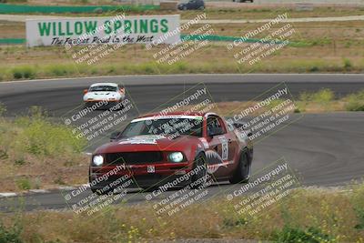 media/May-04-2024-Lucky Dog Racing (Sat) [[d39539b3f3]]/Race Pics/1230pm (Turn 4a)/